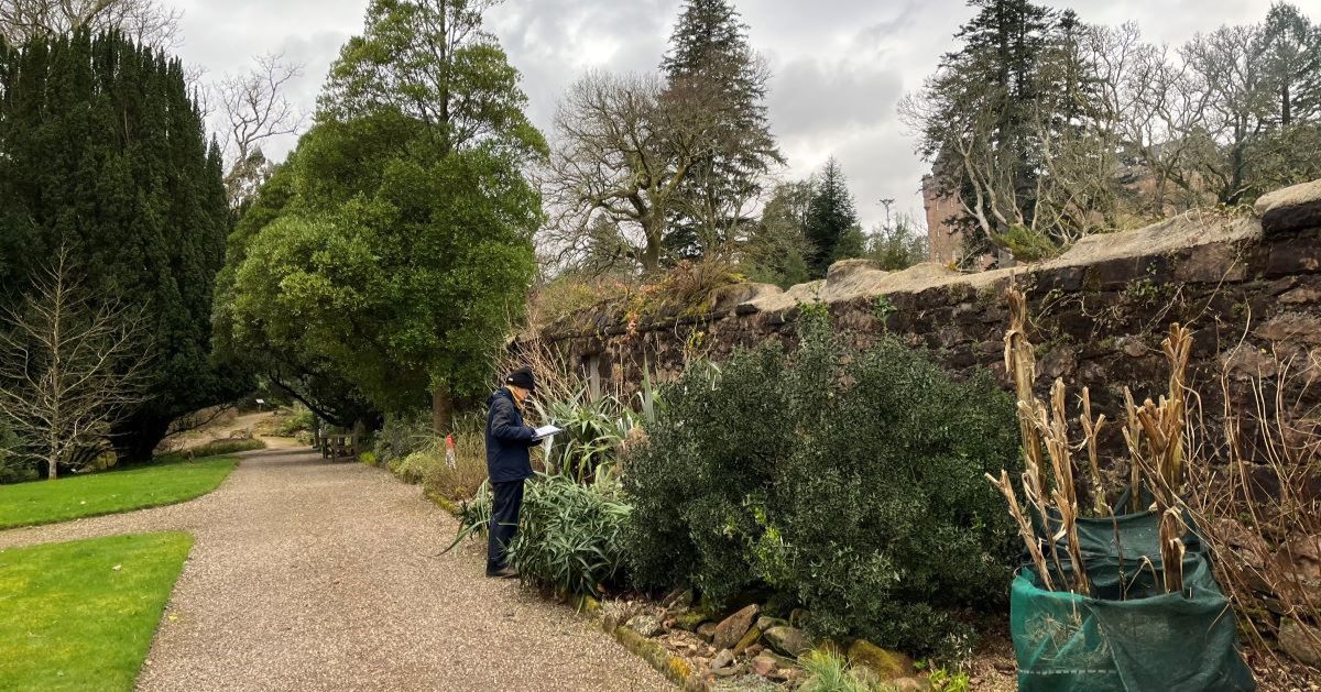 Life with The National Trust for Scotland: ‘I travel all over Scotland as a plant detective’ – Scottish Field