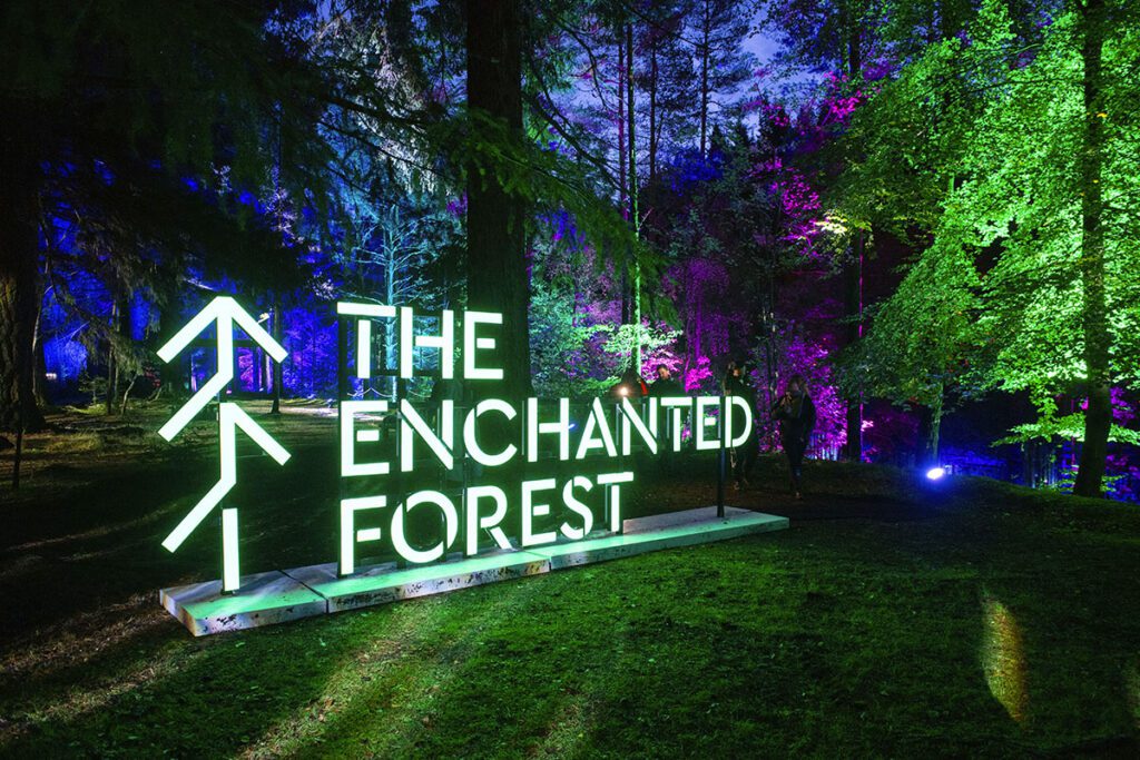 The Enchanted Forest returns this October and November. [Credit: Lesley Martin]