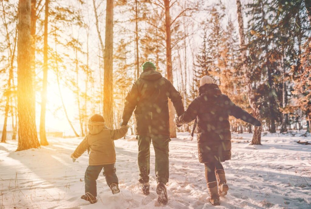 Family walking in winter forest park in snowfall
By avtk / Adobe Stock