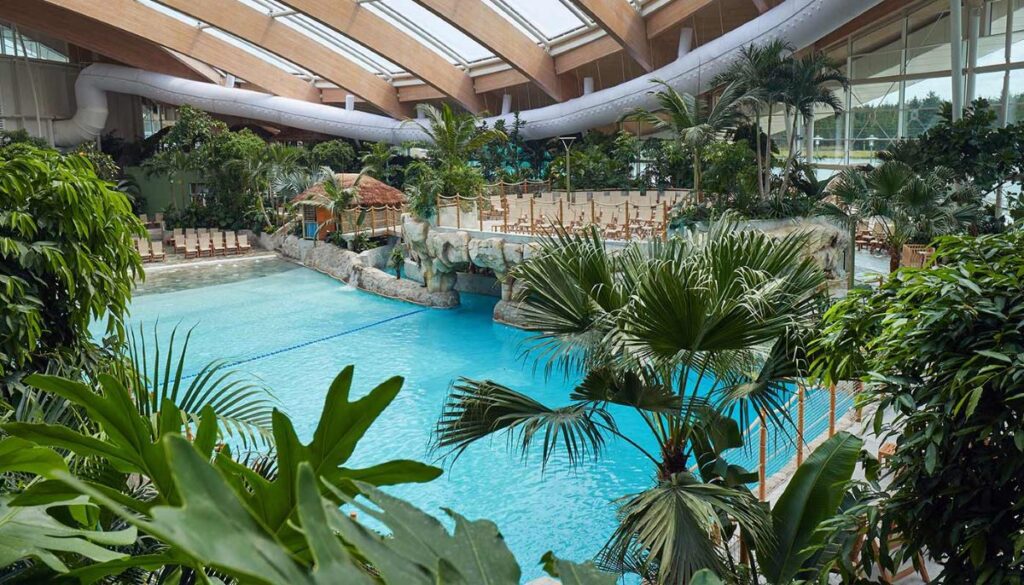 Subtropical Swimming Paradise