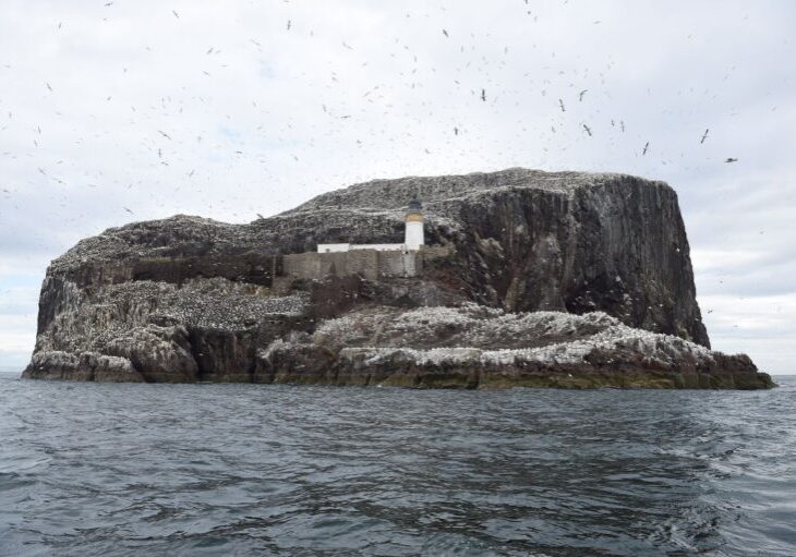 The Iconic Bass Rock © Greg Macvean