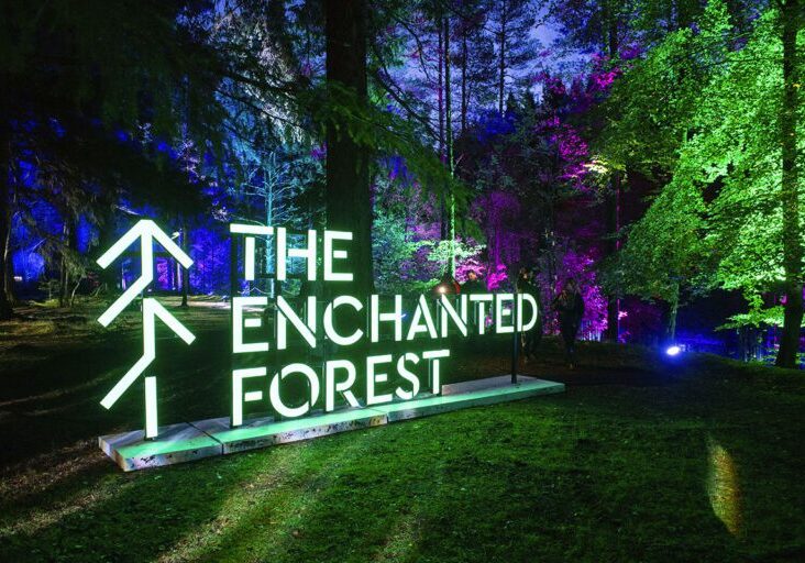 The Enchanted Forest returns this October and November. [Credit: Lesley Martin]