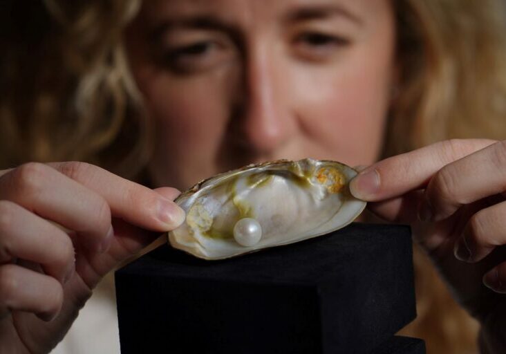 Lyon & Turnbull's Head of Jewellery, Ruth Davis FGA DGA, with The Abernethy Pearl. Credit: Stewart Attwood.