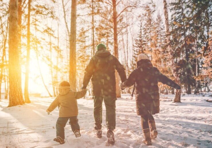 Family walking in winter forest park in snowfall
By avtk / Adobe Stock