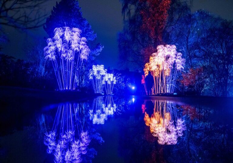 Christmas at the Botanics, Edinburgh. [Credit: Phil Wilkinson  / Christmas at the Botanics]